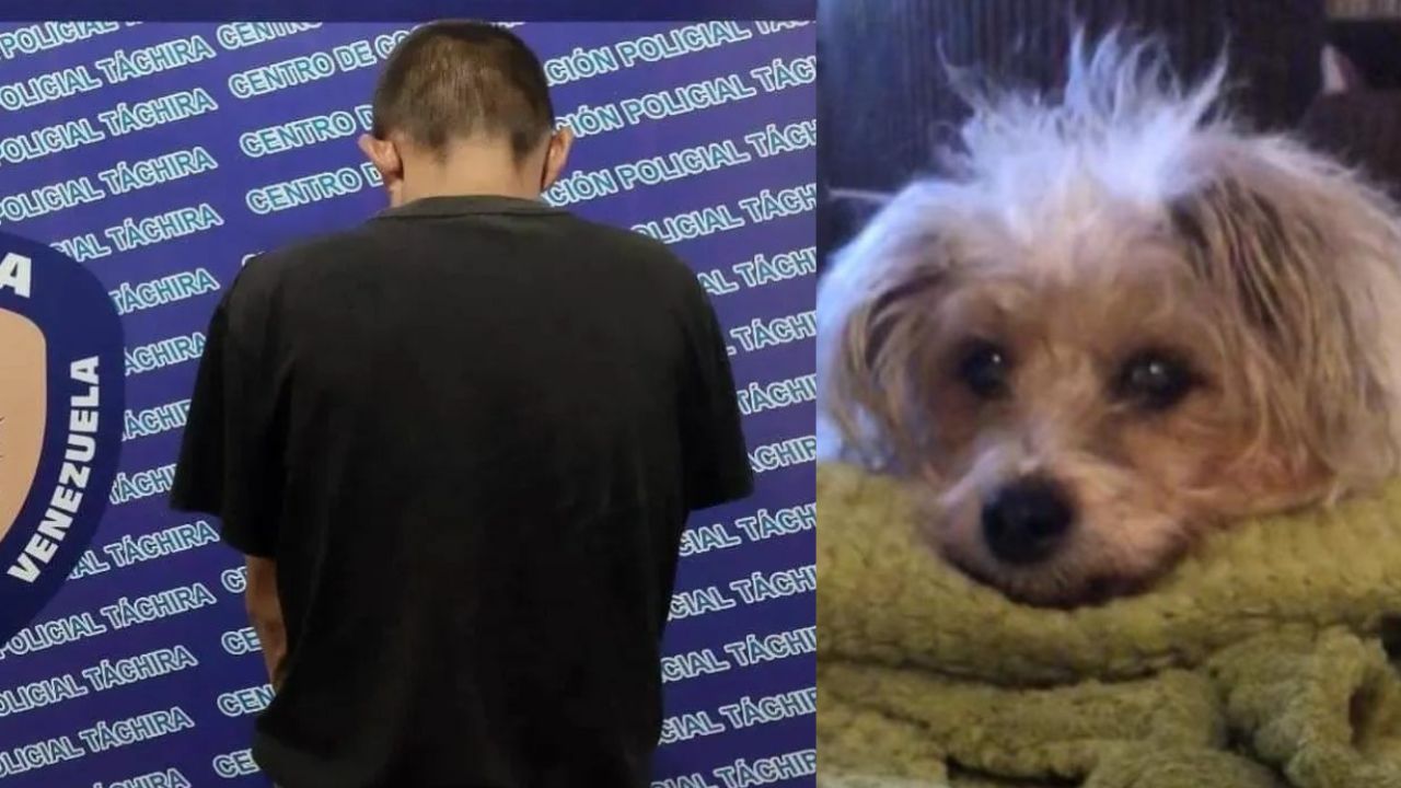 Detienen hombre por abusar de su perrita; la mascota murió luego del ataque