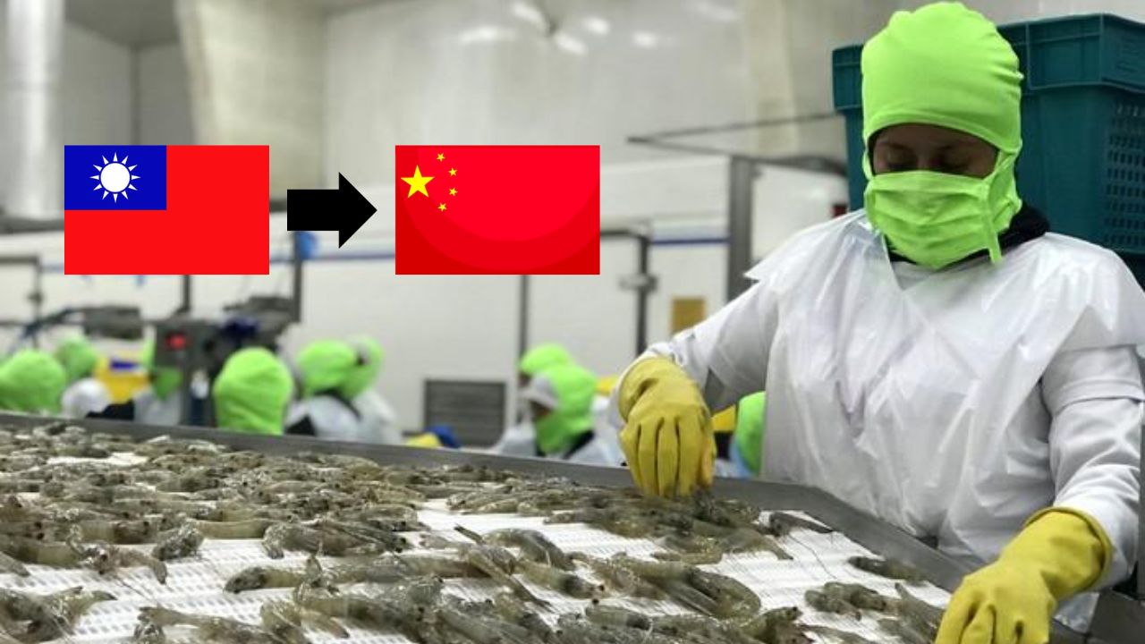 Imagen de Camaroneras del sur de Honduras quieren relación con China Continental