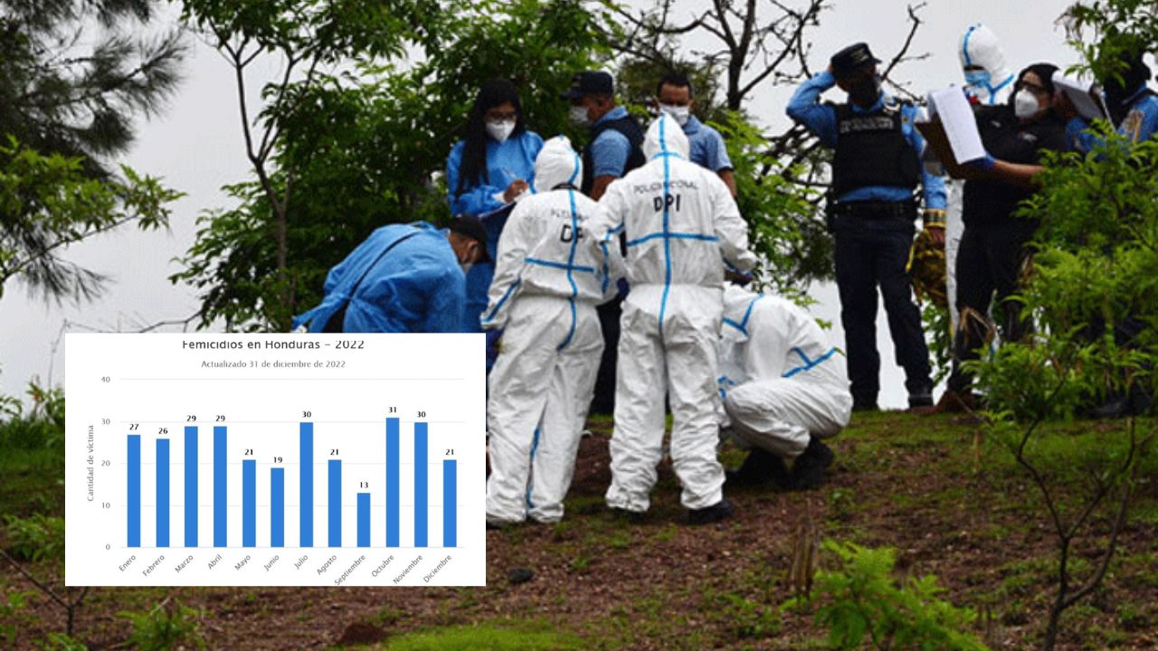 Imagen de Femicidios en enero de 2023 subieron 41% en comparación con el mismo mes de 2022