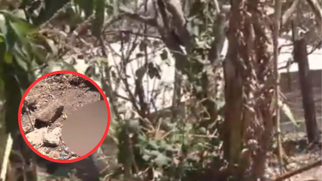 Imagen de 'Me dio pesar tirarlo a la basura': mujer reveló que enterró el feto de su nieto