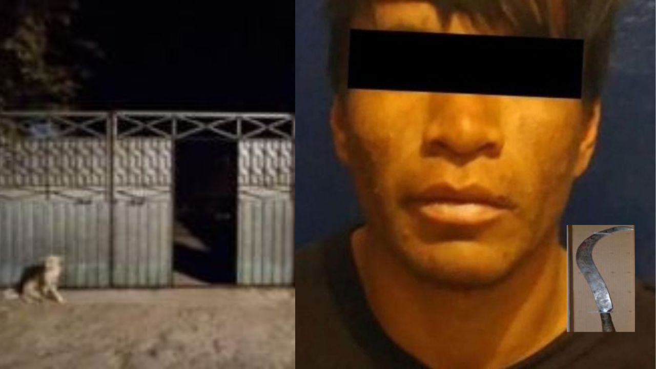 Mexicano mató a machetazos a la abuelita de su ex mientras ella le cuidaba a sus hijos