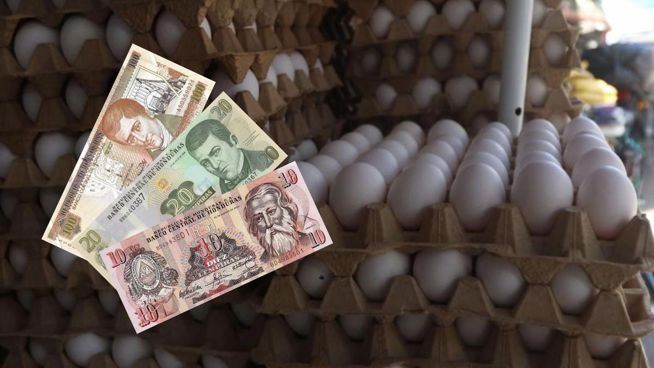 Precio del cartón de huevos queda congelado, según acuerdo entre Gobierno y avicultores