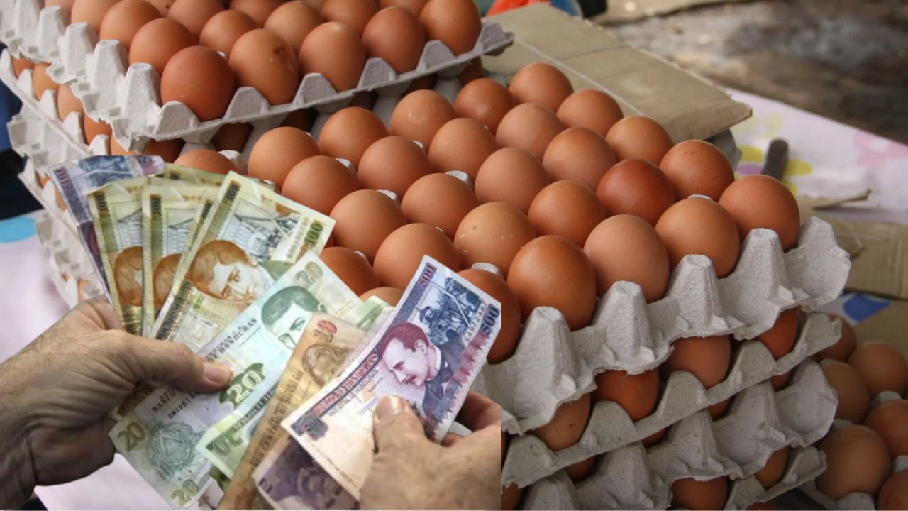 Precios de hasta por L 140 alcanza el cartón de huevos en Tegucigalpa