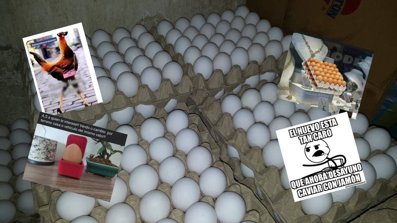 'Las gallinas no lloran, las gallinas facturan'; los memes que deja el aumento de precios de los huevos en Honduras