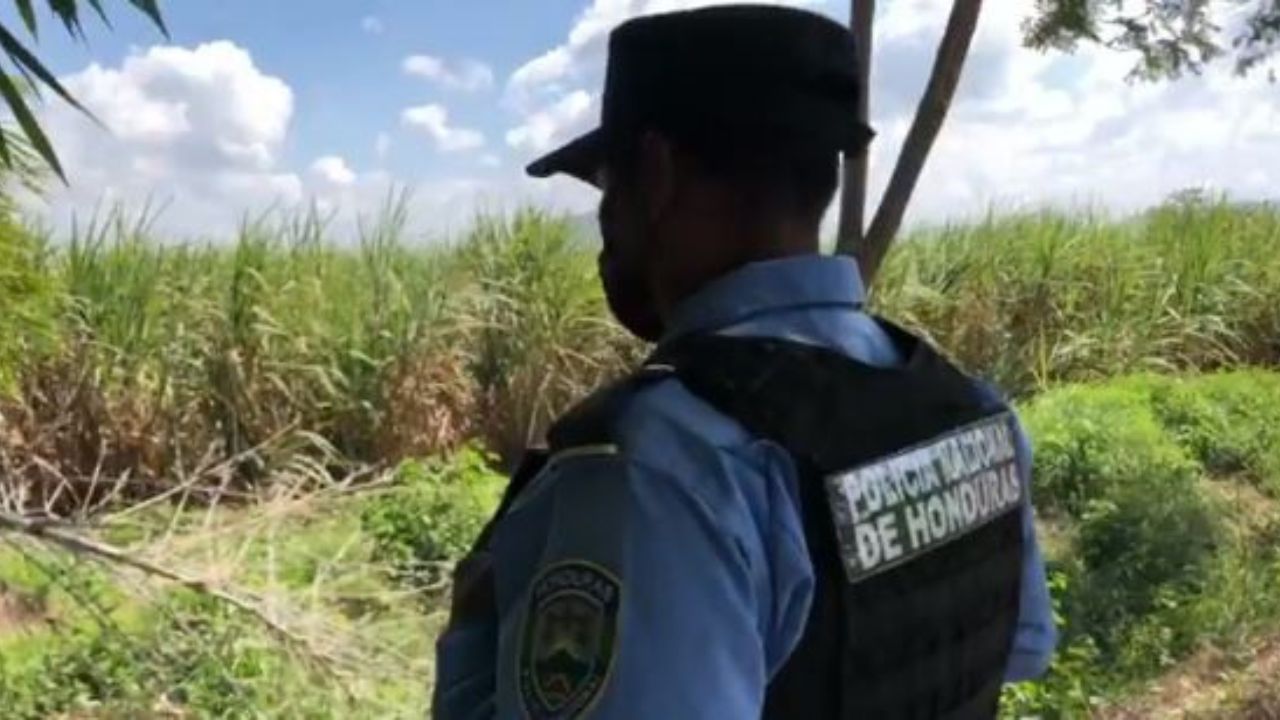 Hallan cuerpo, pero no la cabeza, de joven hondureño que llevaba 23 días desaparecido en Cortés