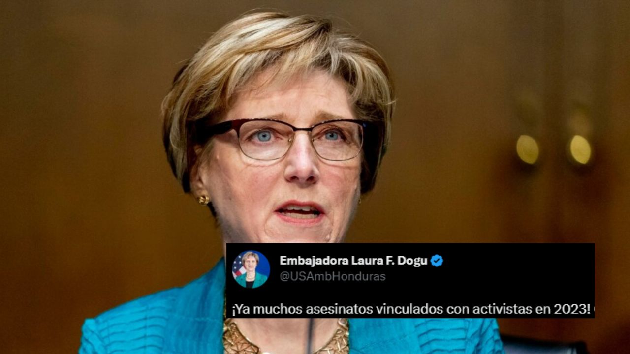 'Ya muchos asesinatos de activistas', condena embajadora Laura Dogu