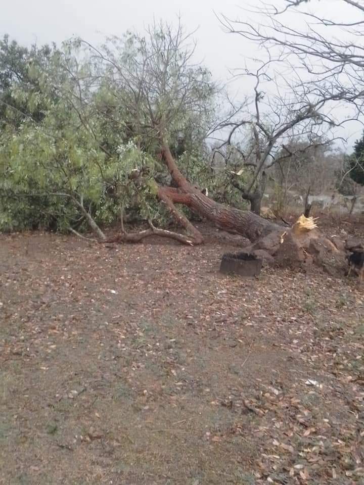 Imagen de cuerpo de nota