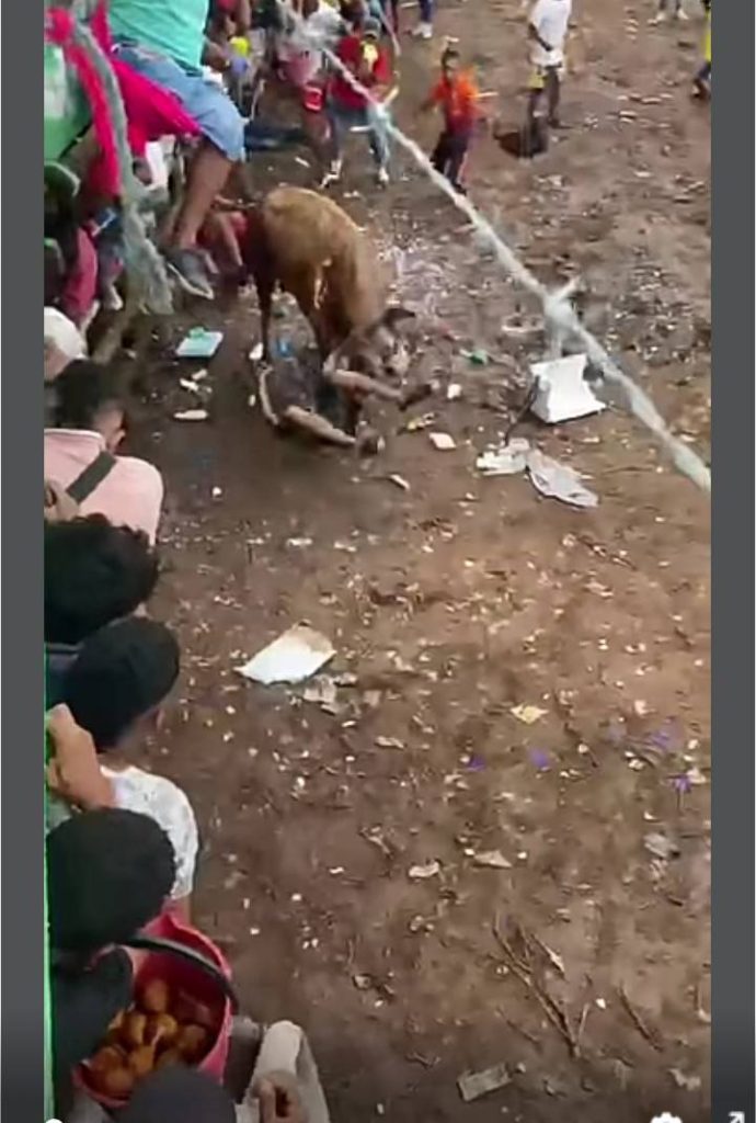 Imagen de cuerpo de nota