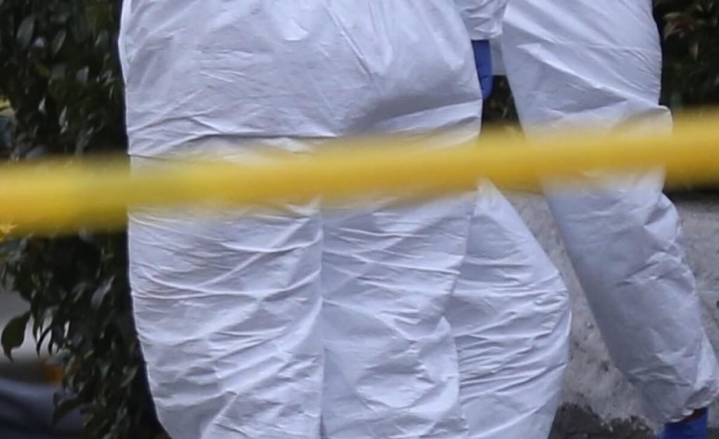 Imagen de cuerpo de nota