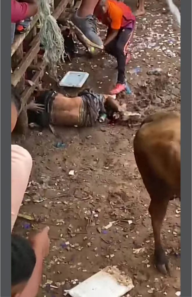 Imagen de cuerpo de nota