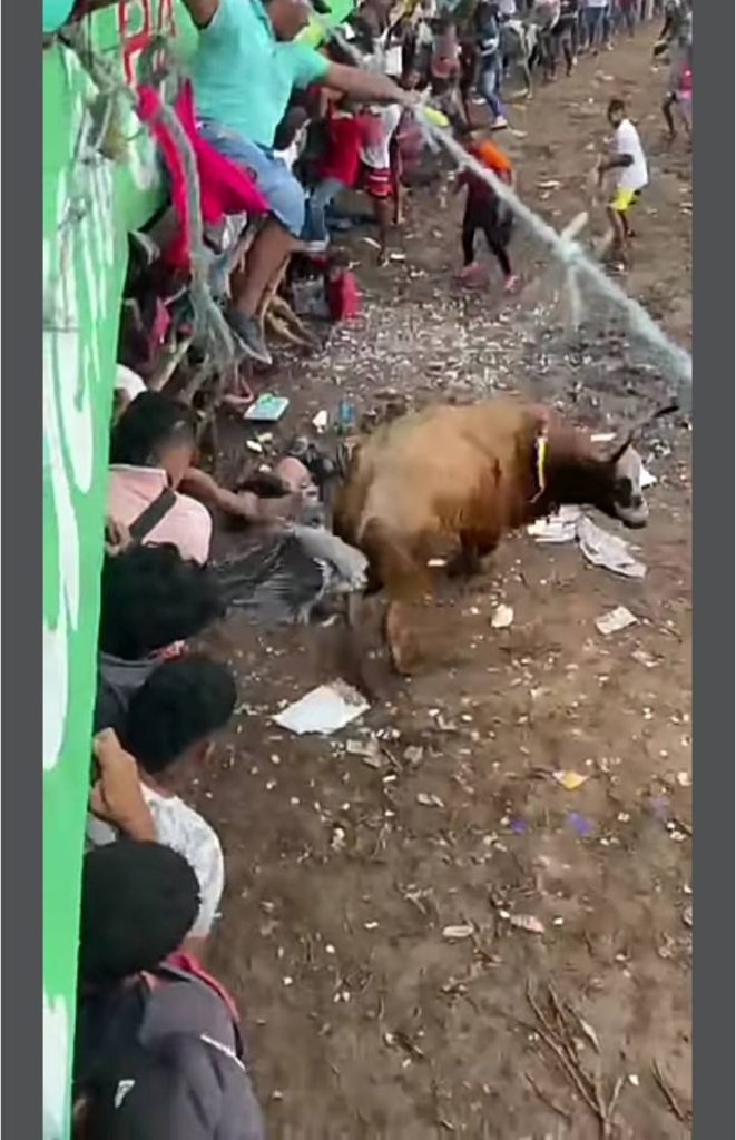 Imagen de cuerpo de nota