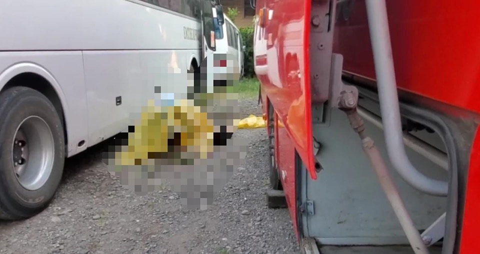 Imagen de cuerpo de nota