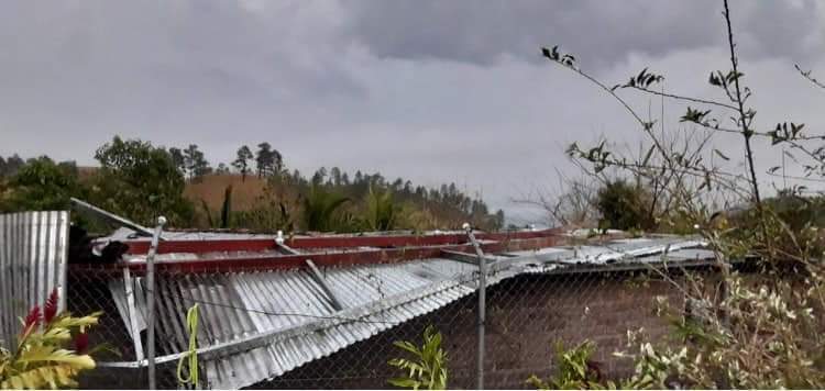 Imagen de cuerpo de nota