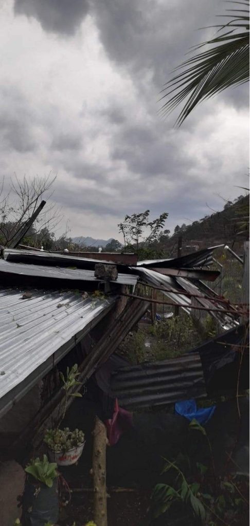 Imagen de cuerpo de nota