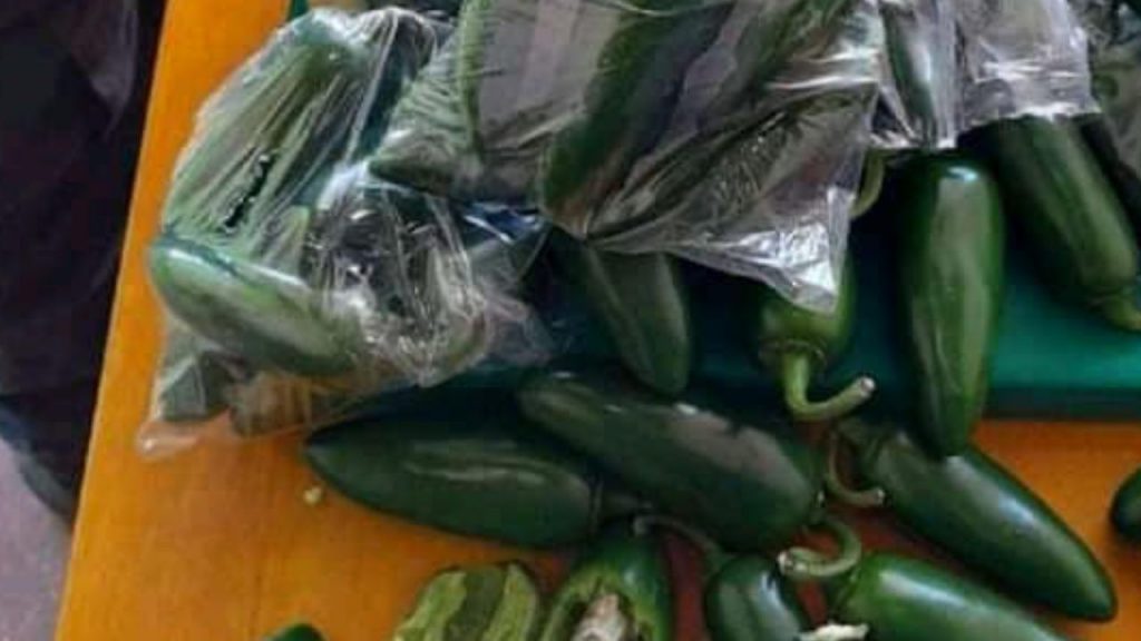 Imagen de cuerpo de nota