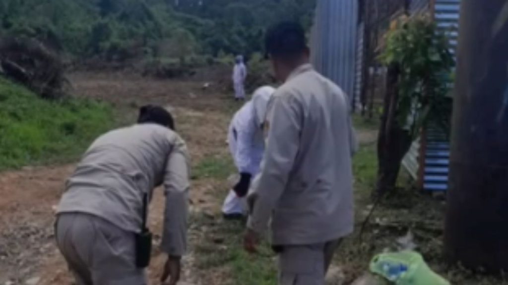 Imagen de cuerpo de nota