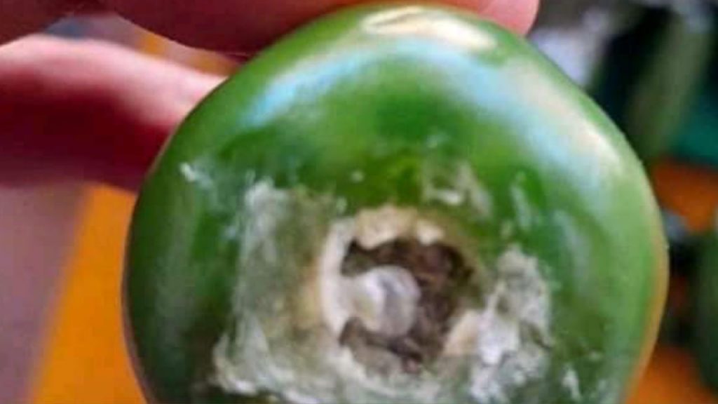 Imagen de cuerpo de nota