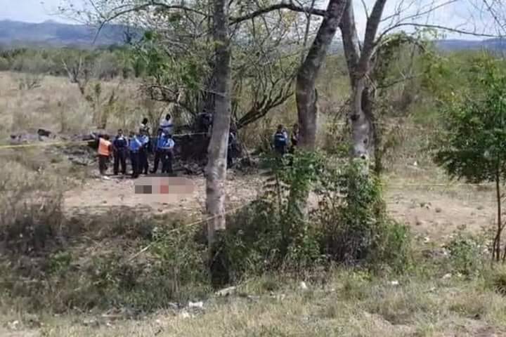 Imagen de cuerpo de nota