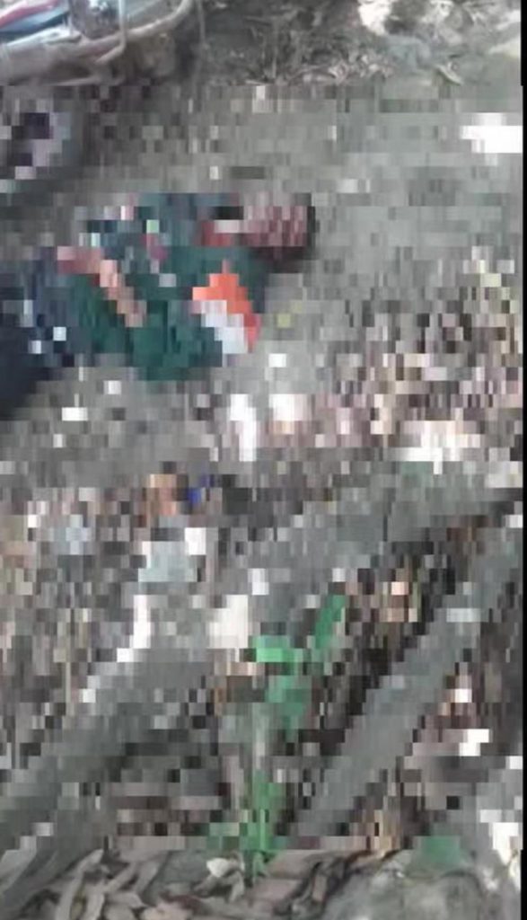 Imagen de cuerpo de nota