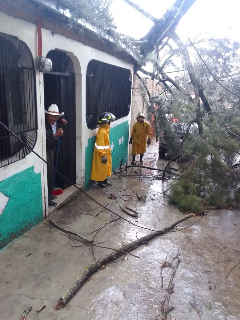 Imagen de cuerpo de nota