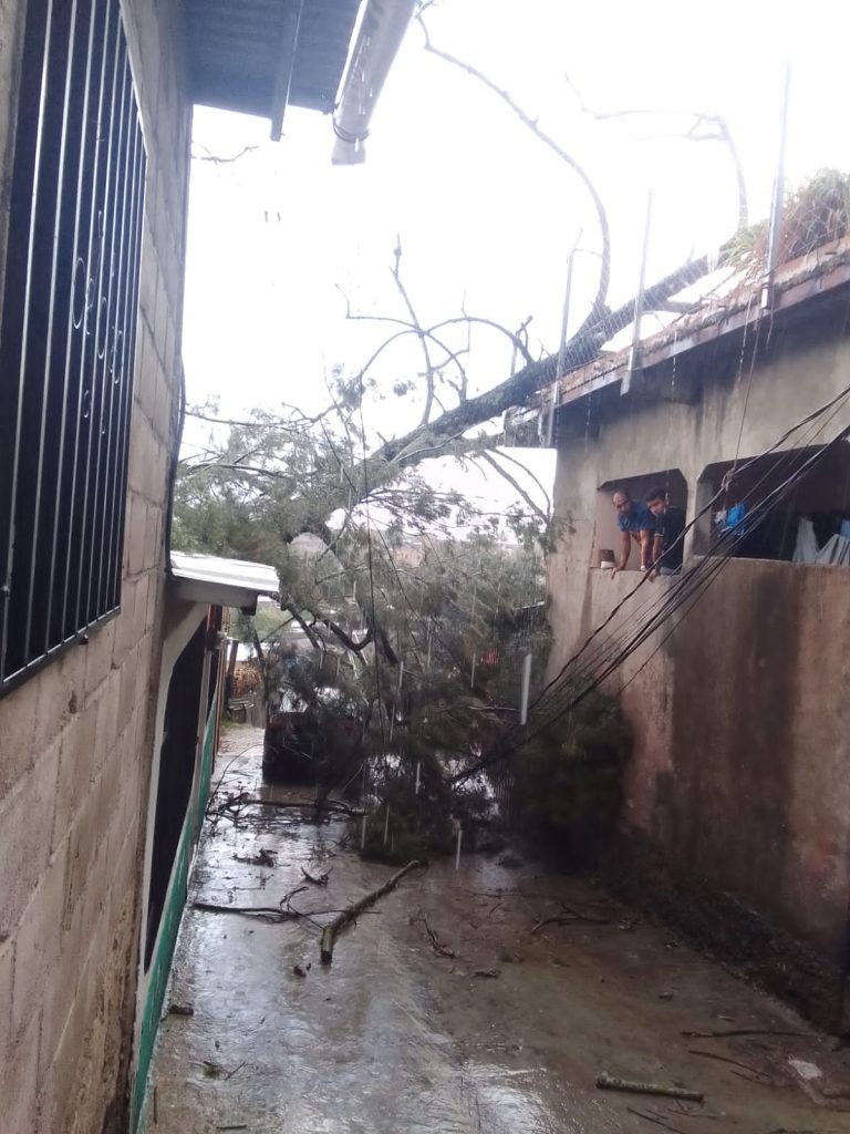 Imagen de cuerpo de nota