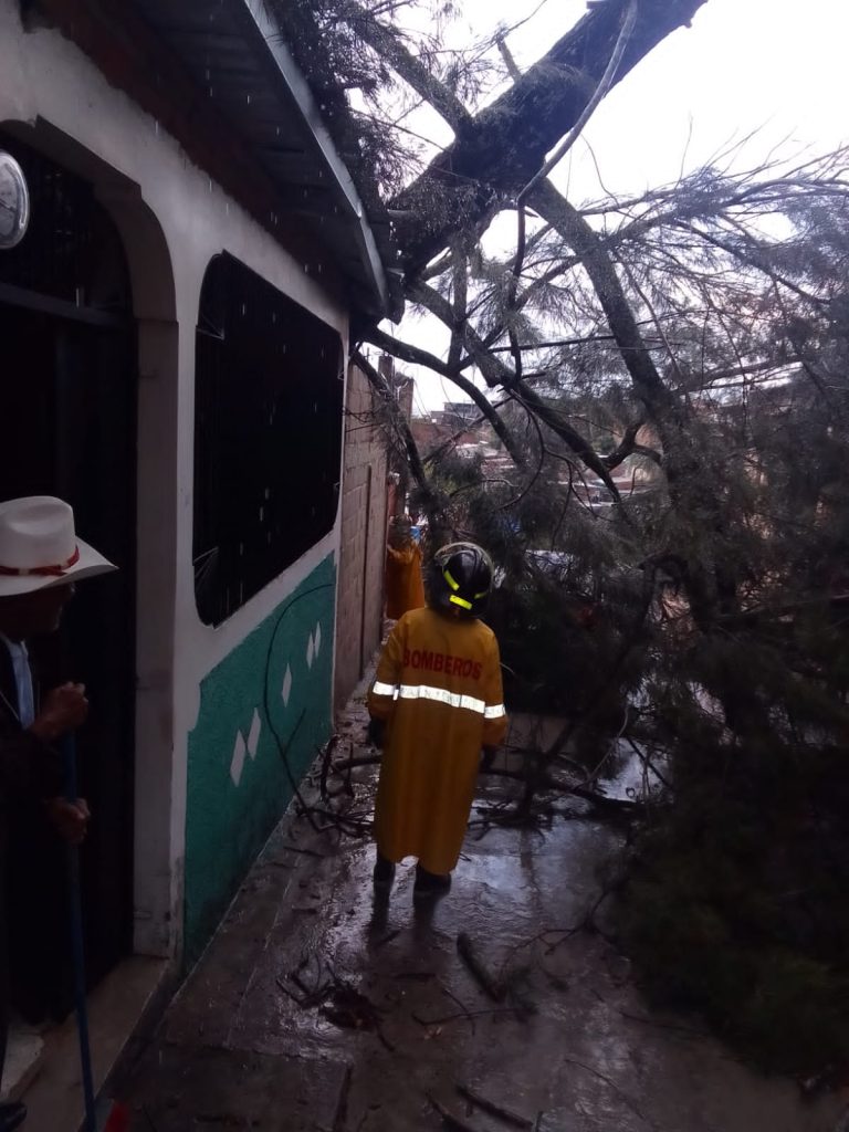 Imagen de cuerpo de nota