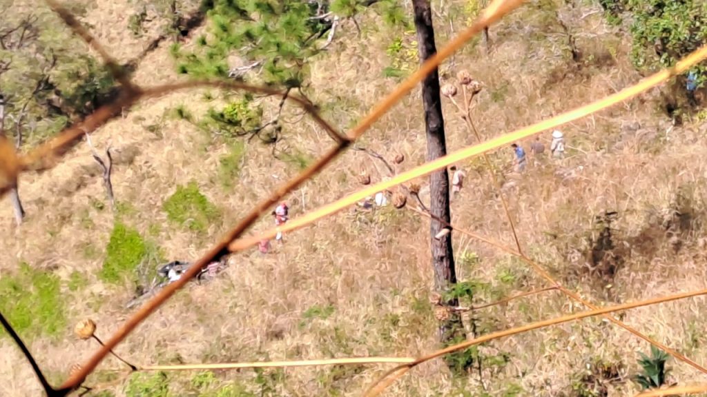 Imagen de cuerpo de nota