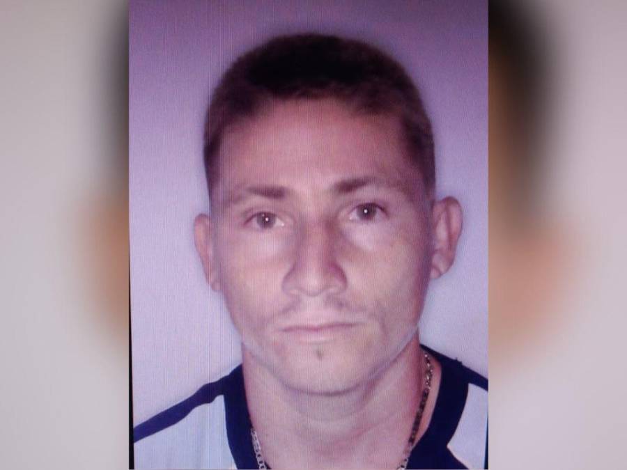 Imagen de cuerpo de nota