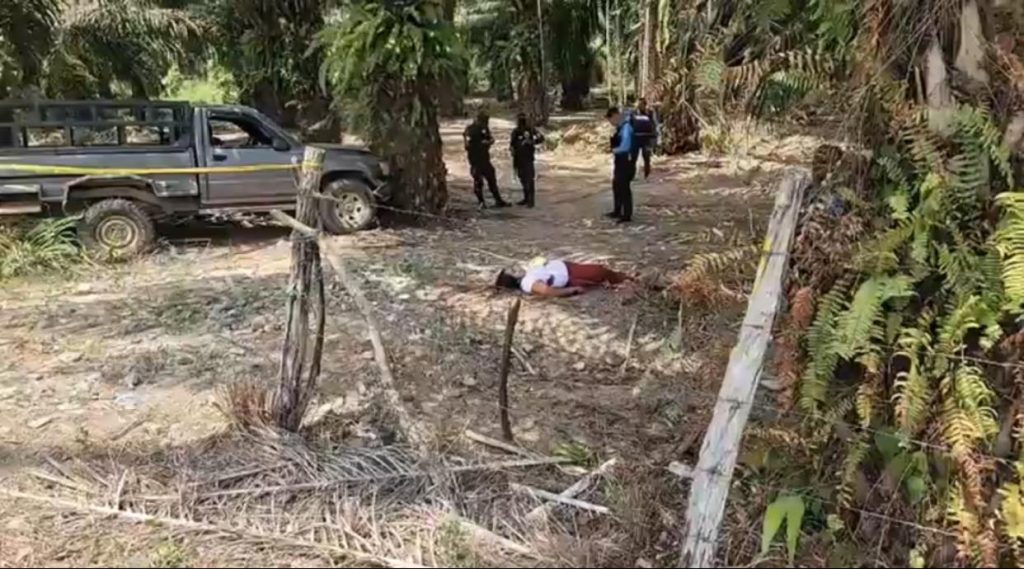 Imagen de cuerpo de nota