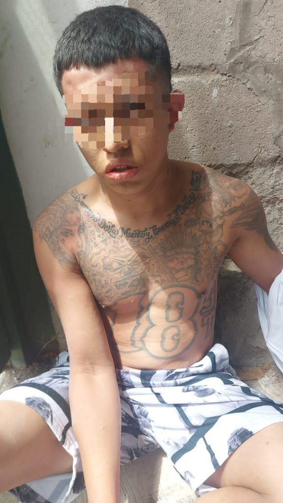 Imagen de cuerpo de nota