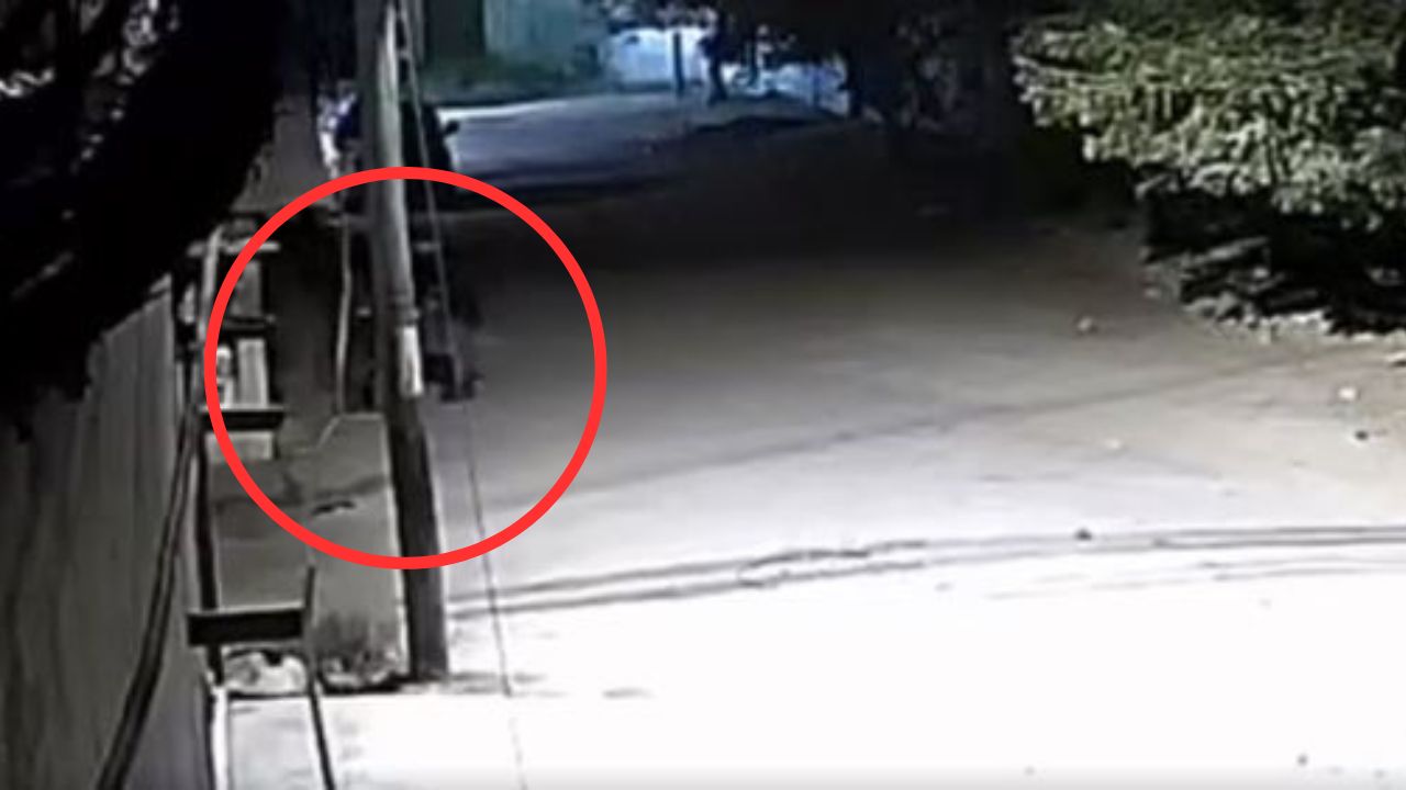 Mira cómo se robaron una motocicleta en Comayagua