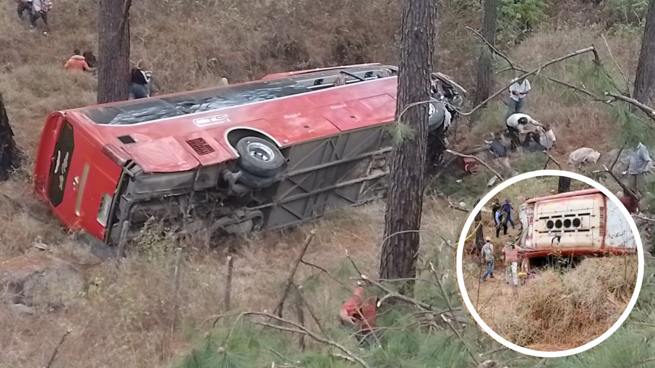Fotos: bus repleto de pasajeros cae a una hondonada  y deja una persona muerta en la CA-6