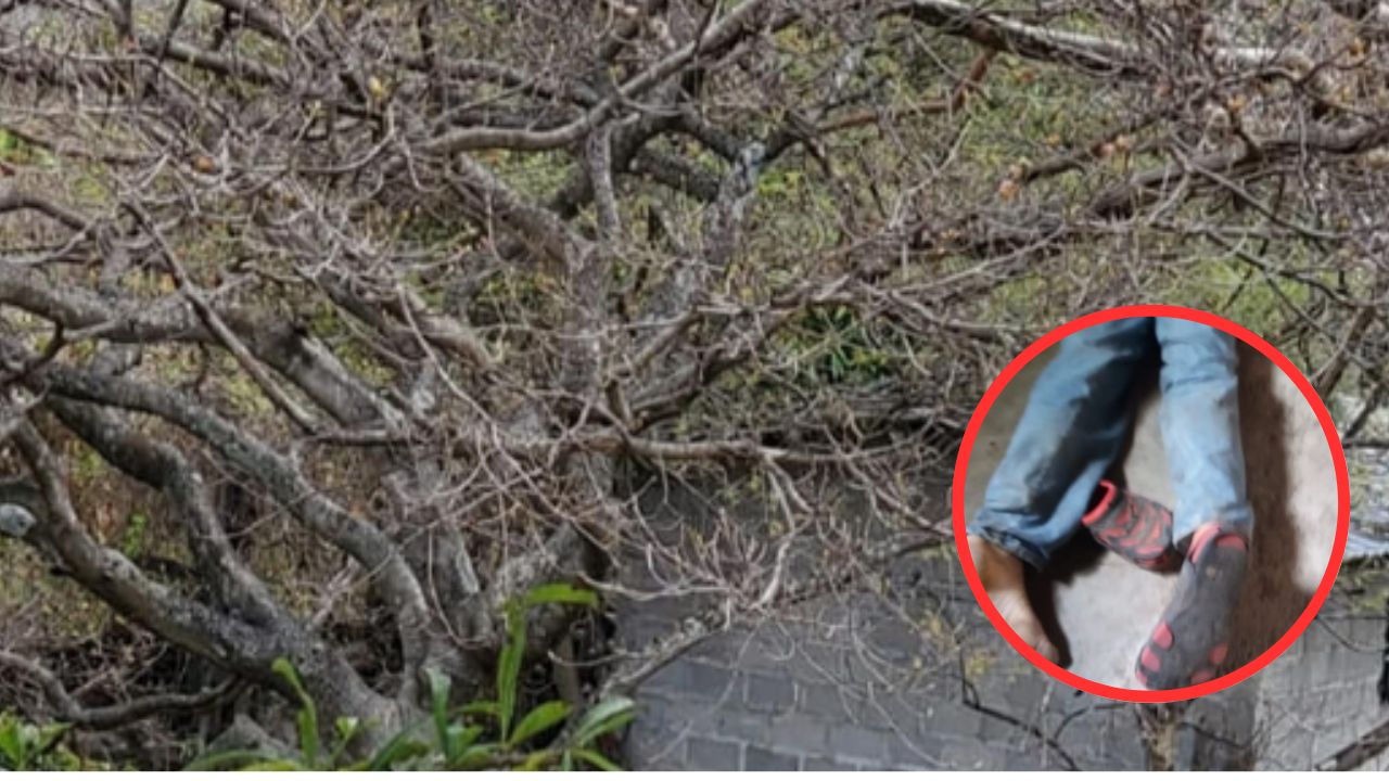 Enfurecido hondureño le arrebató la pistola a su patrón y lo mató