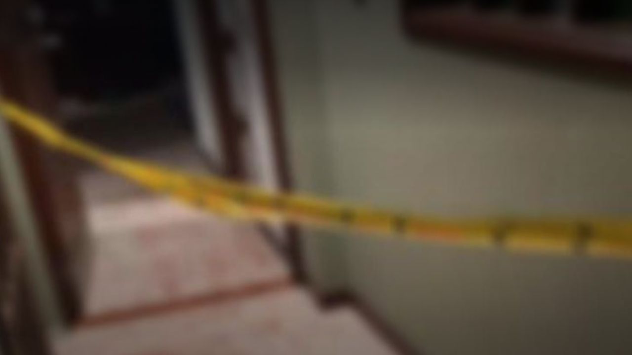 Hombre mató a golpes a su mamá porque no era su hijo favorito