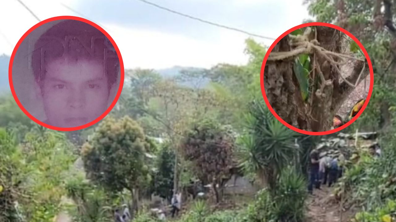 'Tenía problemas': hondureño se quitó la vida al colgarse árbol de izote en Copán