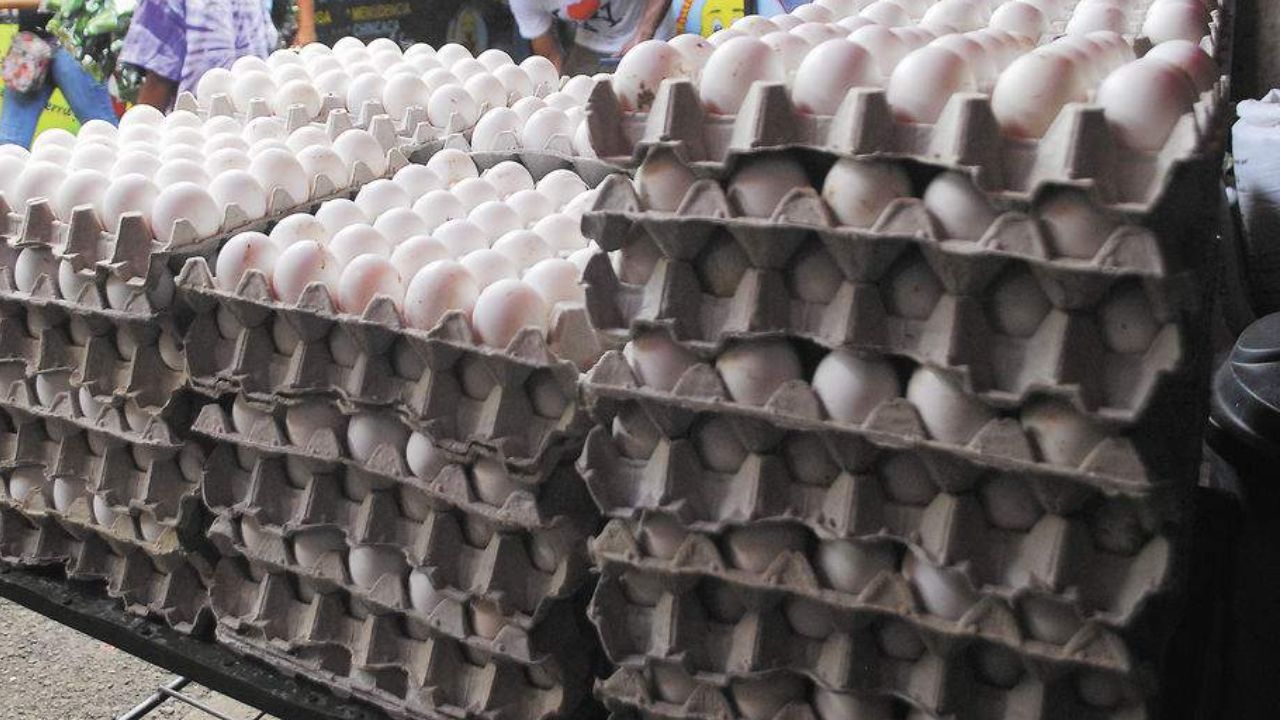 A L135 venden el huevo grande en mercados de Tegucigalpa