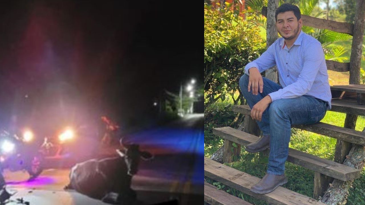 Motociclista muere al impactar contra una vaca en Copán