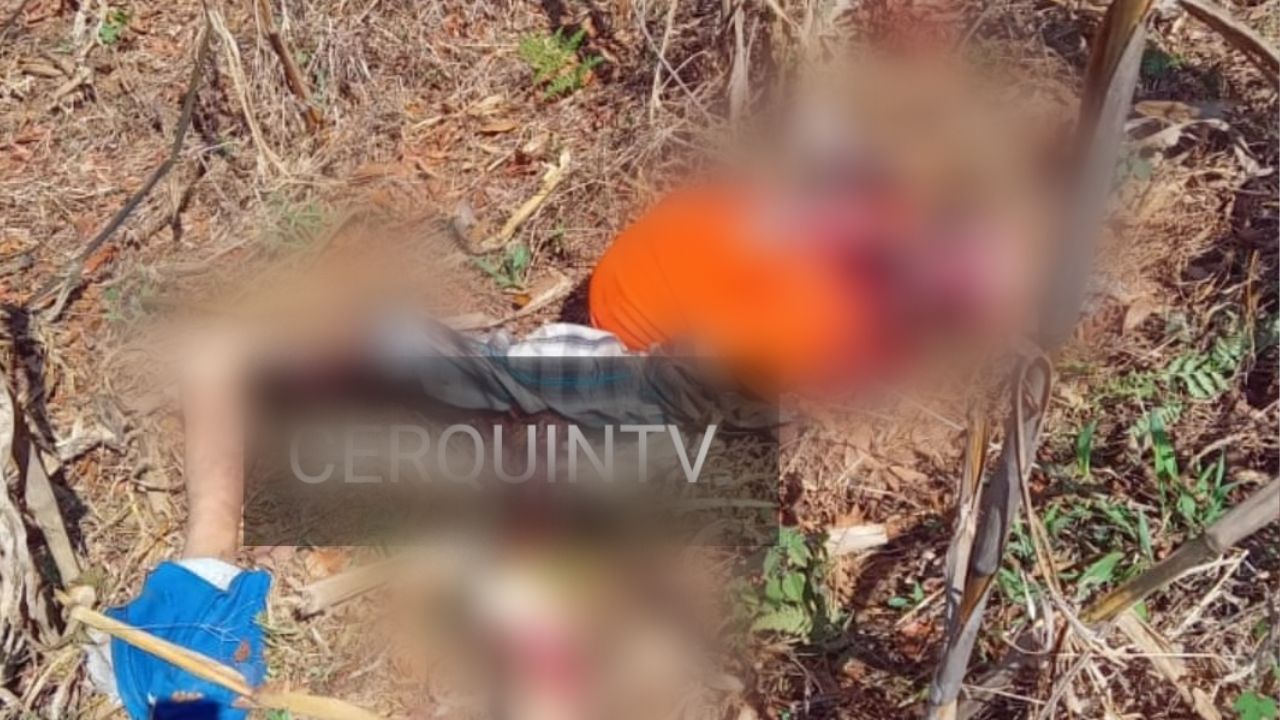 Decapitado y sin pies, hallan a un hombre en Lempira; se lo estaban comiendo los perros