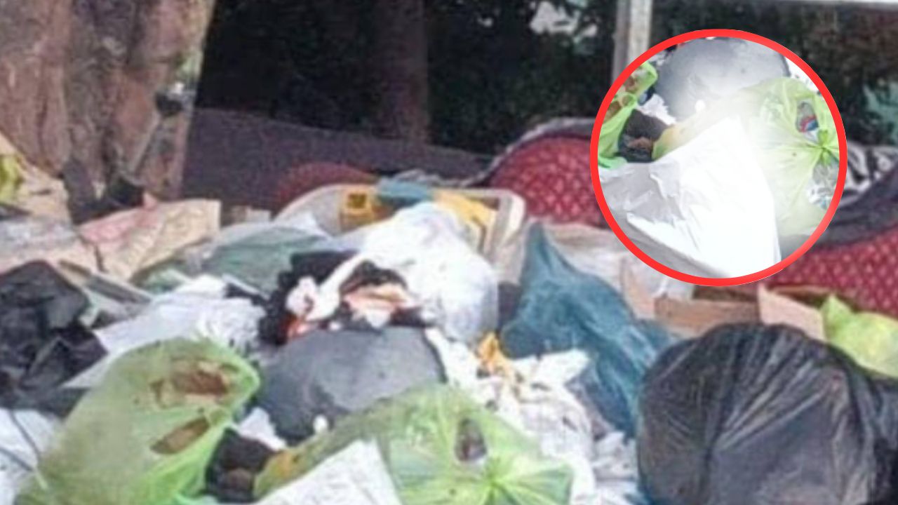 Hallan muerto a un pepenador dentro de un basurero en colonia Kennedy