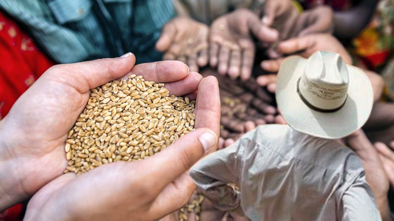 Editorial HRN: Emergencia alimentaria e improvisación