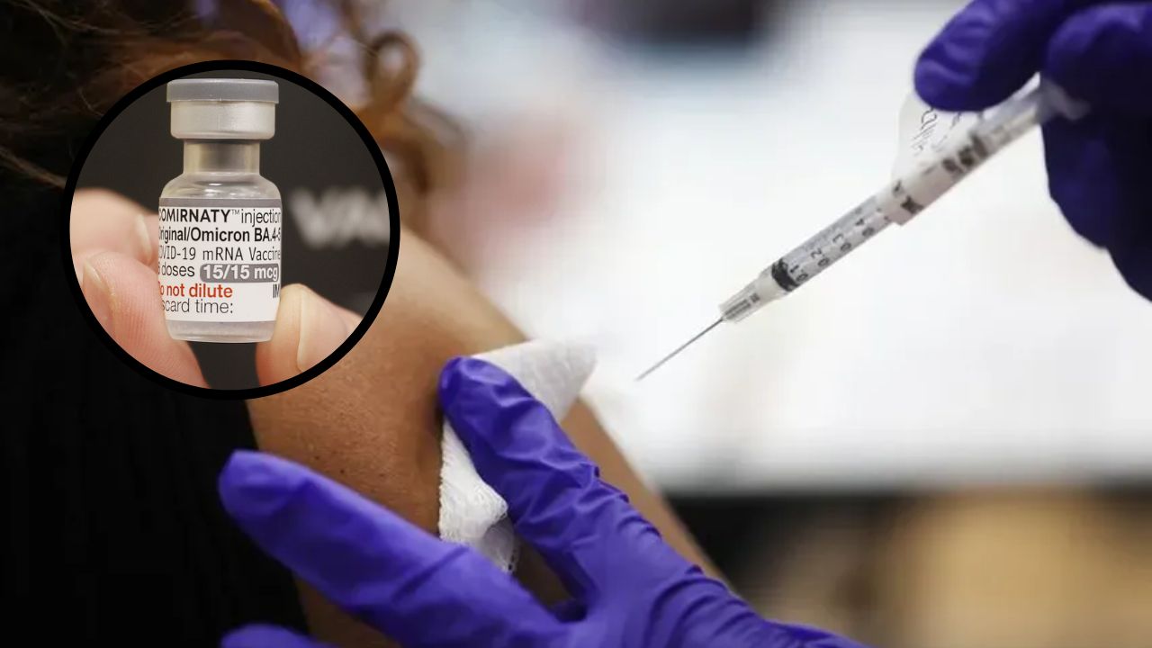 Imagen de Llegan a Honduras casi 300,000 dosis de vacuna bivalente contra el covid-19