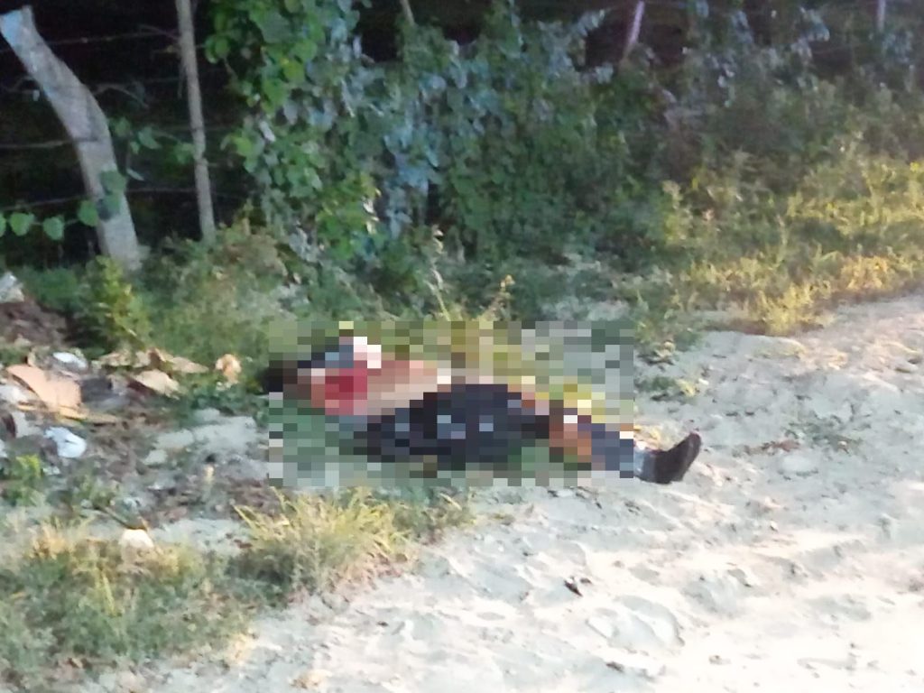 Imagen de cuerpo de nota