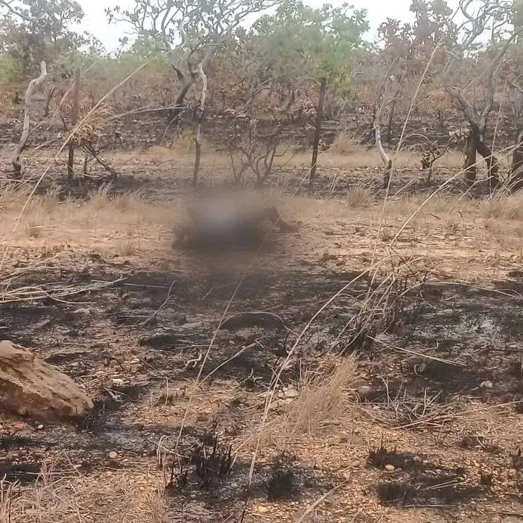 Imagen de cuerpo de nota