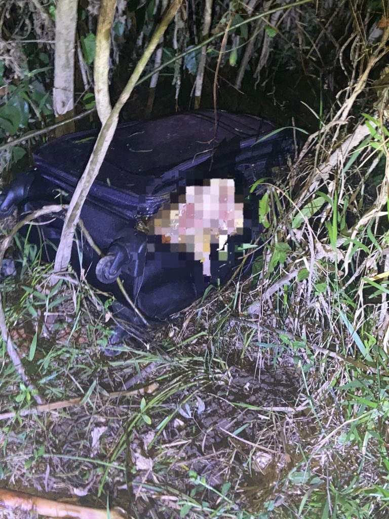 Imagen de cuerpo de nota