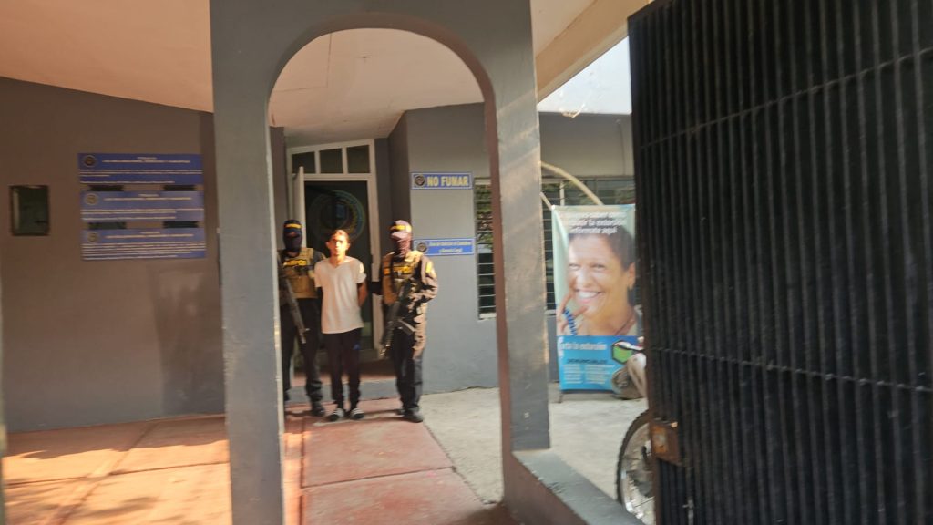 Imagen de cuerpo de nota