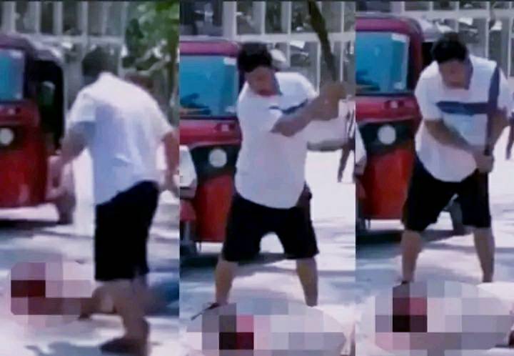 Imagen de cuerpo de nota