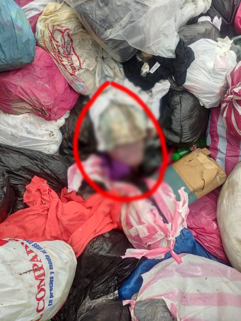 Imagen de cuerpo de nota