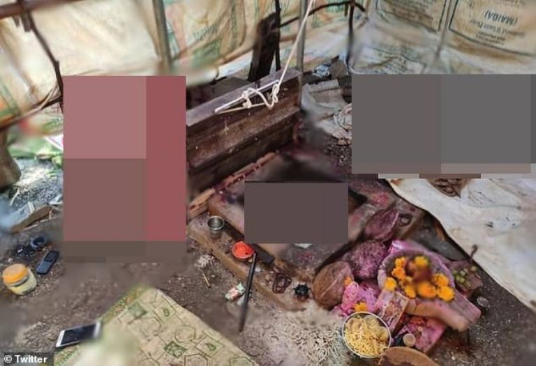 Imagen de cuerpo de nota