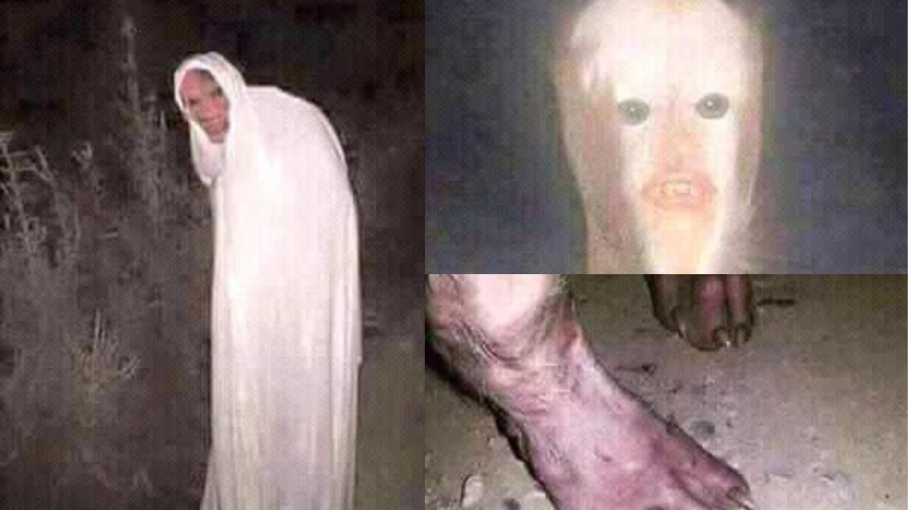 ¿Real o montaje? Imagen de supuesto animal se hace viral, aseguran que fue visto en Honduras