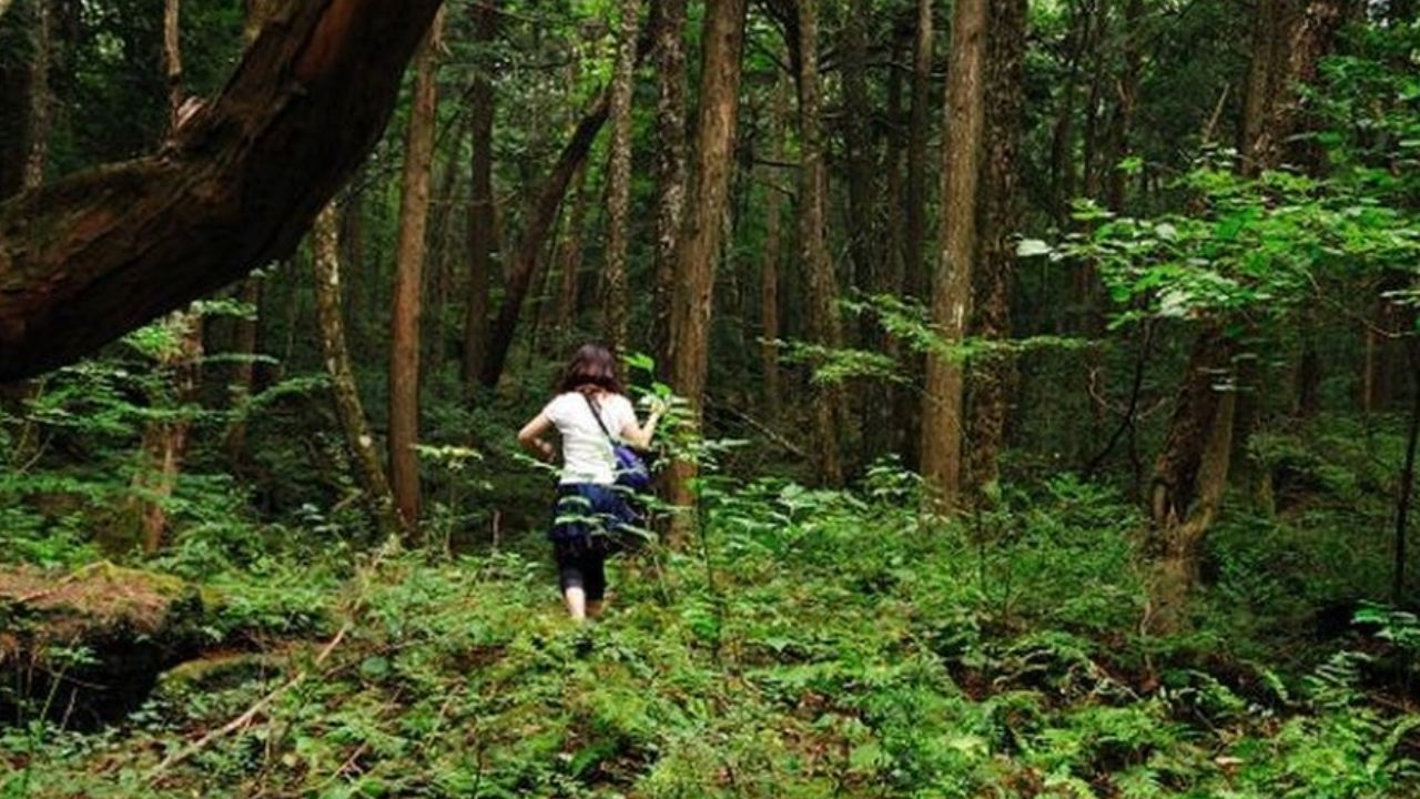 Cuatro personas se quitan la vida en un parque de montaña en China